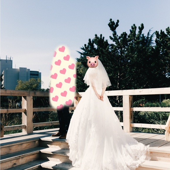 Simple Lace V-neck Train Wedding Dress/ French Tulle Bohemian Wedding Dress - Picture 6 of 12